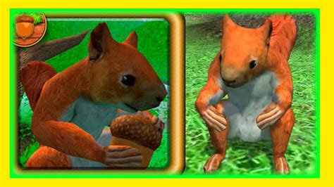 Animal Games for Kids | Squirrel Simulator Android Gameplay - YouTube