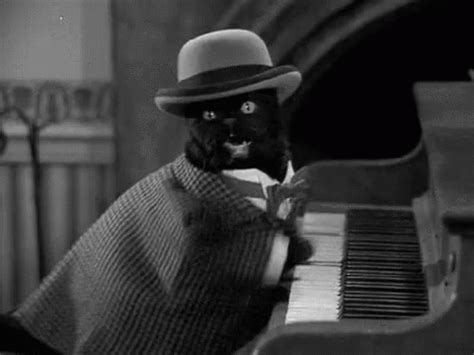 Piano Cat GIF - Piano Cat - Discover & Share GIFs