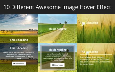 CSS Image Hover Effects - Free Download - HTML Codex