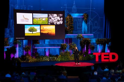 5 Fantastic TED Talks On Sustainability You Can Listen To Now