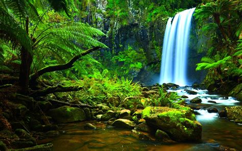 Rainforest Waterfall Wallpapers - Top Free Rainforest Waterfall ...