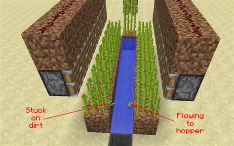 How do you make an automatic sugar cane farm? ~ Arqade ~ AnswerBun.com