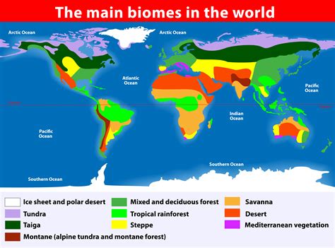 Unveiling The World’s Biomes: A Comprehensive Guide To Biome Map ...