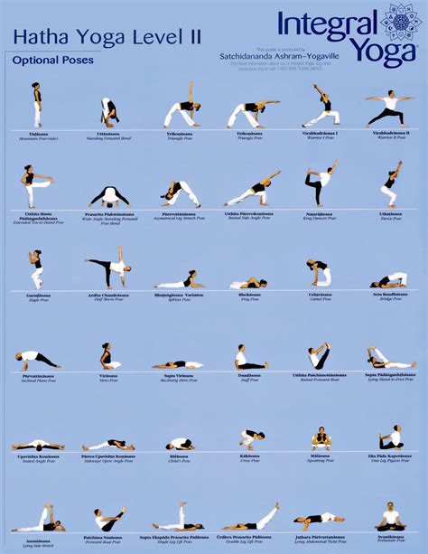 Hatha Yoga Poses Beginners - Work Out Picture Media - Work Out Picture ...