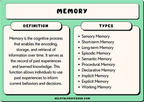 25 Types of Memory (2024)