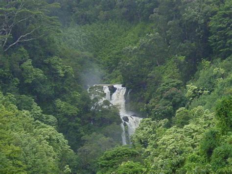 The Hana Highway Waterfalls - A Complete Road Guide