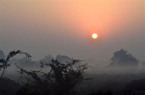 Bharatpur Bird Sanctuary- a paradise for birders