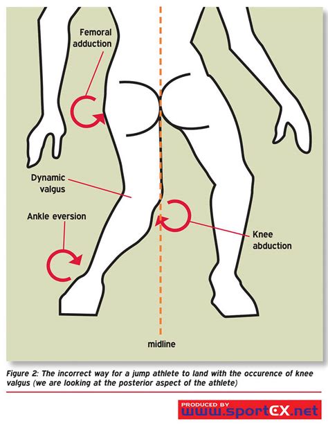 Ankle Mobility Exercises To Improve Dorsiflexion | atelier-yuwa.ciao.jp