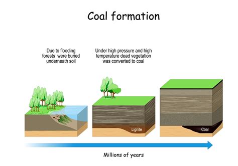 Formation Of Fossil Fuels | Stages of coal formation - 88Guru