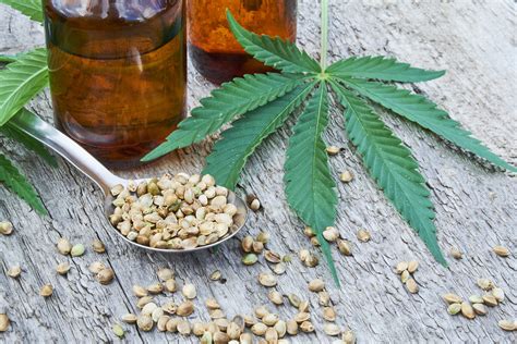 Ultimate Guide for Buying Cannabidiol Products - Rebiz Zield