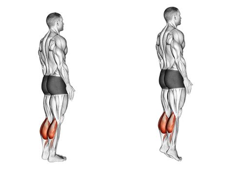 What Are Standing Calf Raises