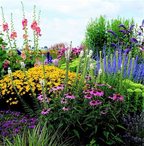 This Full-Sun Garden Plan Brings Color to Your Whole Yard