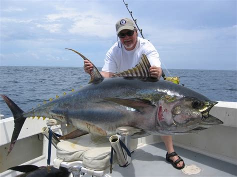 My Active Life: Yellow-Fin Tuna Fishing in the Philippines