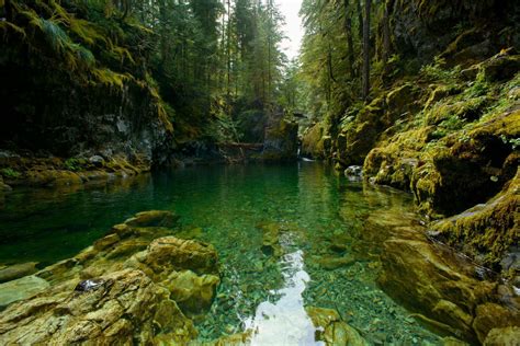 The 12 best rainy day hikes around Oregon in 2020 | Hiking in the rain ...