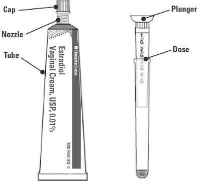 DailyMed - ESTRADIOL VAGINAL CREAM- estradiol cream
