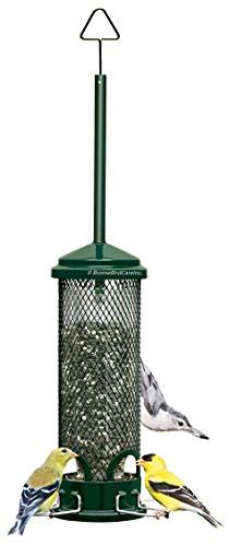 Best Squirrel Spinner Bird Feeder