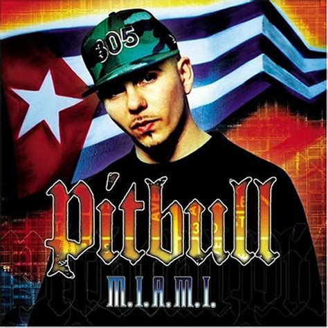 Pitbull Discography : N1FEAREDWOLF : Free Download, Borrow, and ...