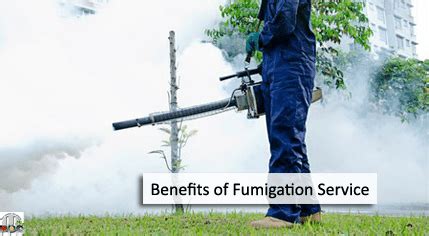 What is Fumigation? Types of Fumigation Service