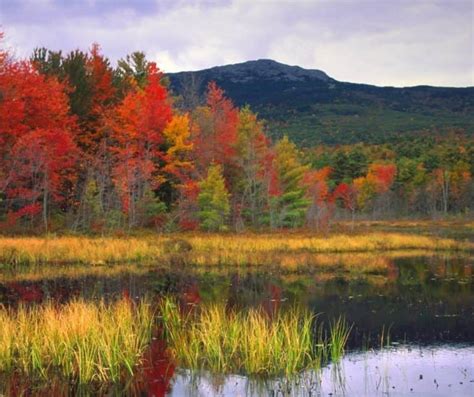 New Hampshire Fall Foliage- 12 Top Spots for NH Fall Color