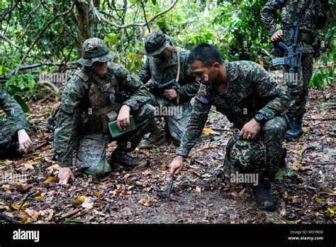 Malaysian soldiers teach U.S. Marines jungle warfare tactics during ...