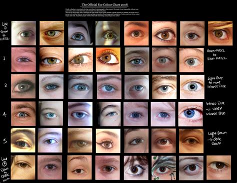 eye colour chart by delPigeon on DeviantArt