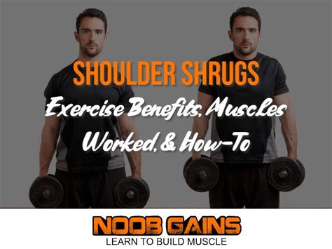 Shoulder Shrugs: Exercise Benefits Muscles Worked & How-To | Muscle ...