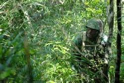 Jungle Warfare Tactics - The war in the pacific