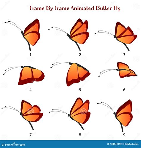 Butter Fly Vector Illustration, Frame by Frame Animated Butterfly ...