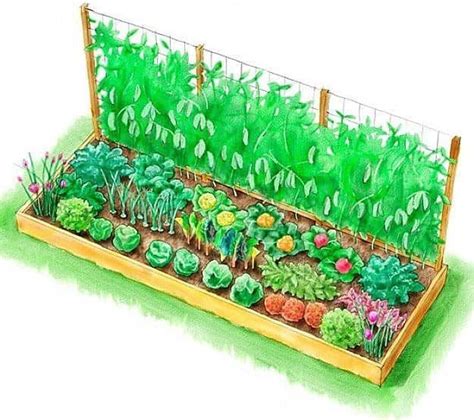 Maximizing Your Outdoor Space With Raised Bed Vegetable Garden Plans ...