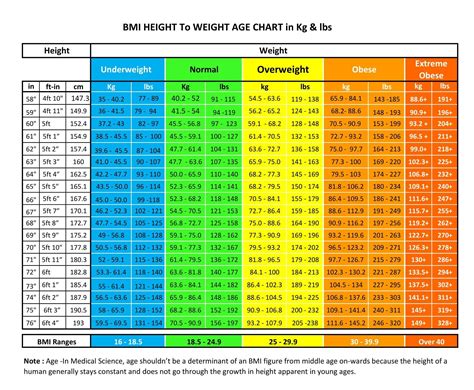 Height to Weight Chart