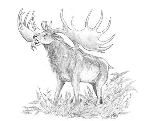 Megaloceros giganteus by batworker on DeviantArt