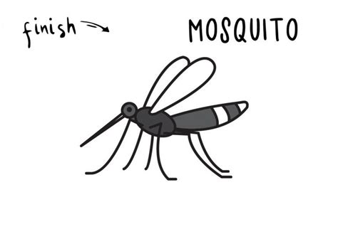 How To Draw a Mosquito Insect Pest (Step by Step Guide) - Rainbow ...