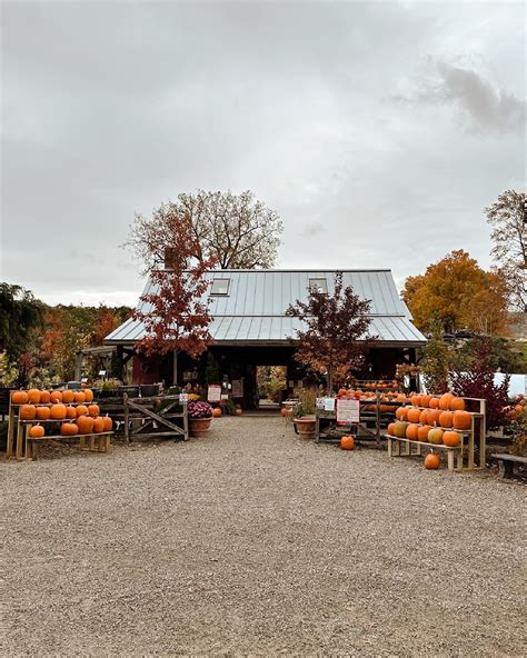 Berkshires In The Fall Travel Guide - wit & whimsy