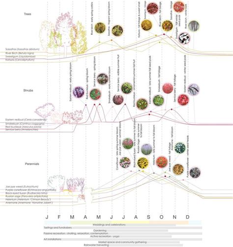 planting. dameron landscape architecture brooklyn. | Landscape diagram ...