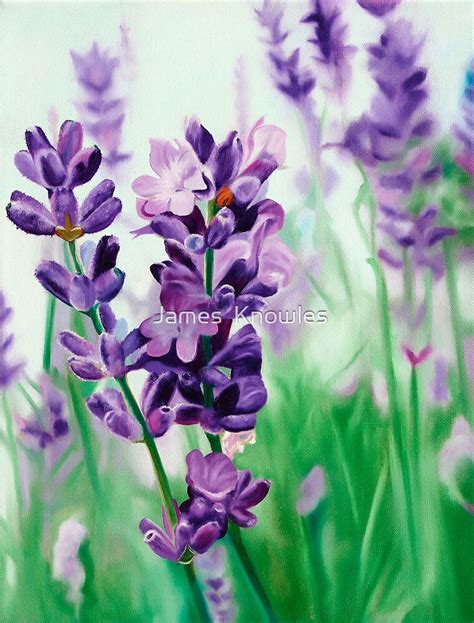 "Lavender Lovers - oil painting of lavender blossoms" by James Knowles ...