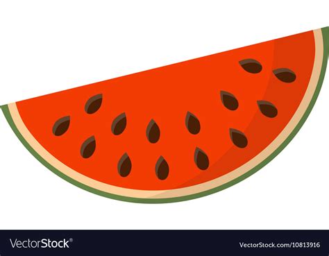 Watermelon slice Royalty Free Vector Image - VectorStock