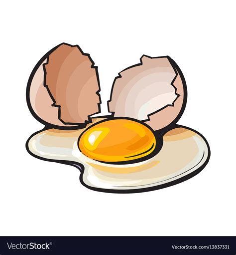 Cracked broken and spilled chicken egg sketch Vector Image