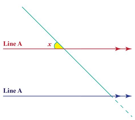 Lineas Transversales