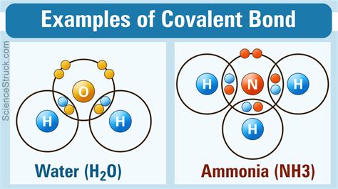 Covalent Bond Examples - Science Struck