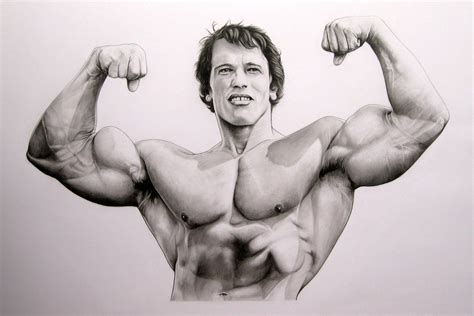 Arnold Schwarzenegger Bodybuilding Wallpapers Posters And Pictures ...