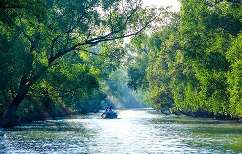 Best 5 Reasons To Visit The Sundarbans National Park | Royal Sundarban ...