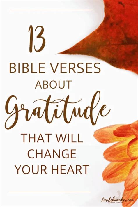 13 Bible Verses About Gratitude That Will Change Your Heart