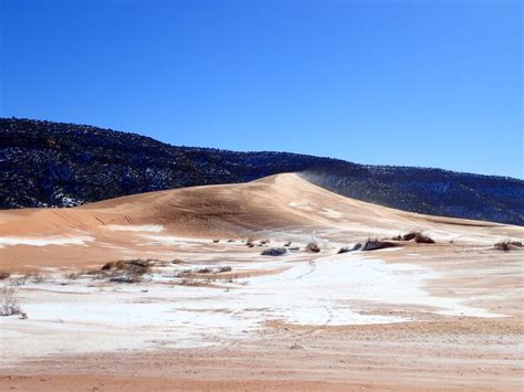 Coral Pink Sand Dunes Winter