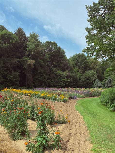 12 Flowers for a Summer Garden - Beautiful Plants That Bloom All Summer ...