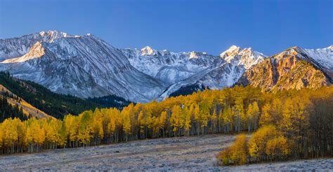 10 Beautiful Photos of Aspen Fall Colors from the 2016 Aspen Photo ...