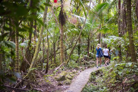 The Guide To Visiting El Yunque National Rainforest in Puerto Rico