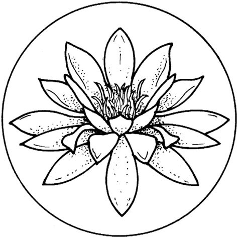 Water Lily Outline - ClipArt Best