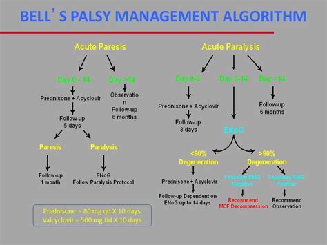 slsi.lk - how long for sulfatrim to work | Role of antiviral in bells ...