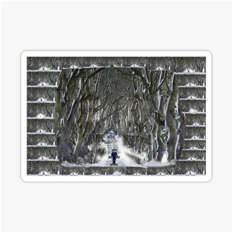 "Dark Hedges in winter" Sticker by ClassicTower | Redbubble