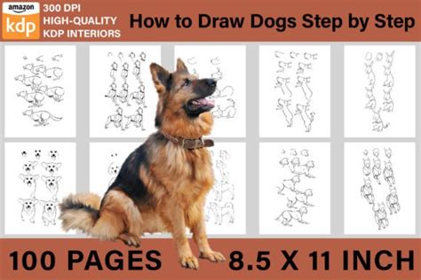 How to Draw Dogs Step by Step Graphic by BreakingDots · Creative Fabrica